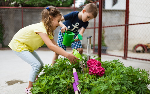 Zdjęcie dwojga dzieci w wieku wczesnoszkolnym (dziewczynka i chłopiec) podlewających konewkami kwiaty na rabatce